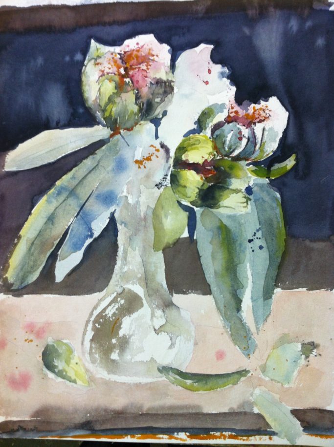Pfingstrosenblüte